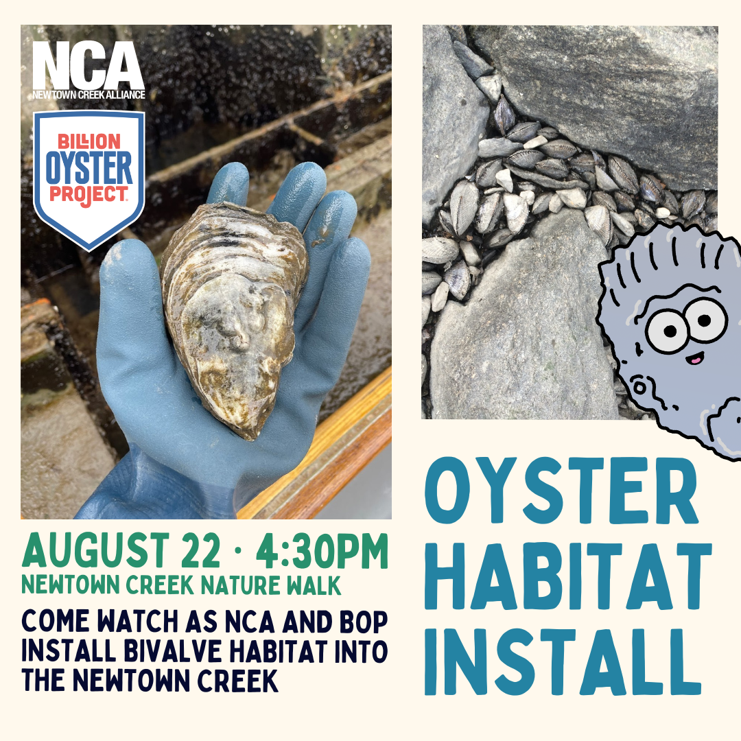 Creek Critters 24 Flyer (Instagram Post)